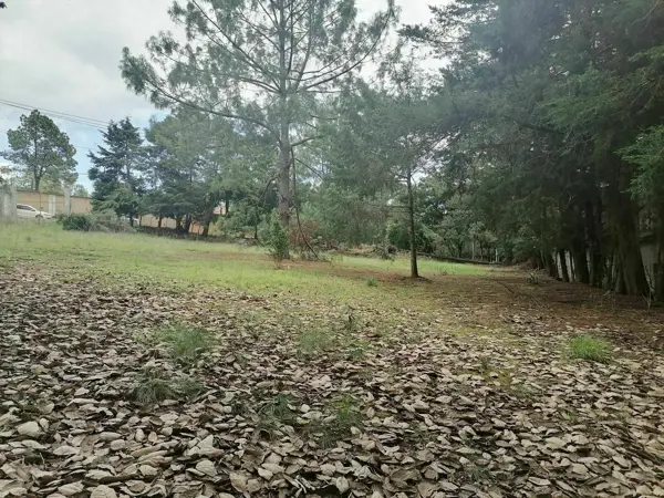 Terren en Venta, los alcanfores en San Cristóbal de LC, chiapaa