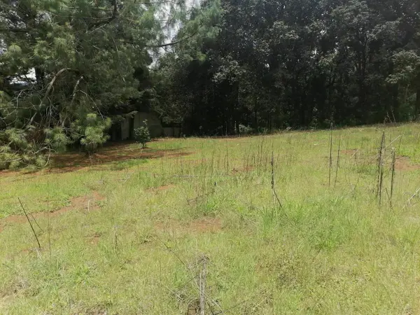 Terreno en venta en Los Alcanfores, San Cristóbal de las Casas — foto 3 de 18