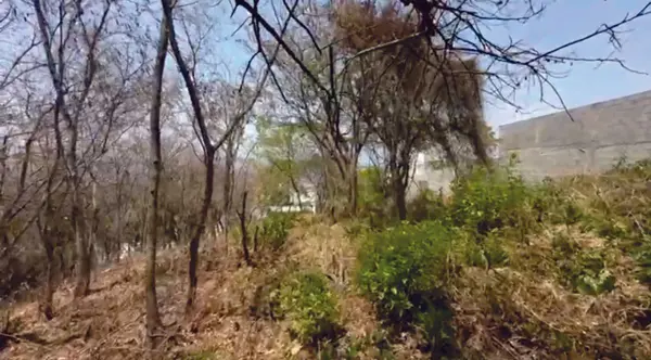 Terreno en venta en Lomas de Mactumatza, Tuxtla Gutiérrez — foto 2 de 11