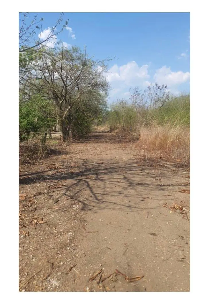 Terreno en venta en Alianza Campesina, Tuxtla Gutiérrez — foto 1 de 12
