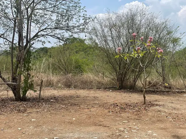 Terreno en venta en Alianza Campesina, Tuxtla Gutiérrez — foto 3 de 12