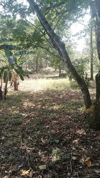Terreno en venta en Rosario Poniente, Tuxtla Gutiérrez — foto 3 de 38