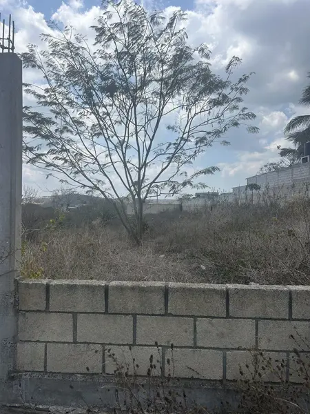Terreno en venta en Efrain A Gutierrez, Berriozábal — foto 3 de 7