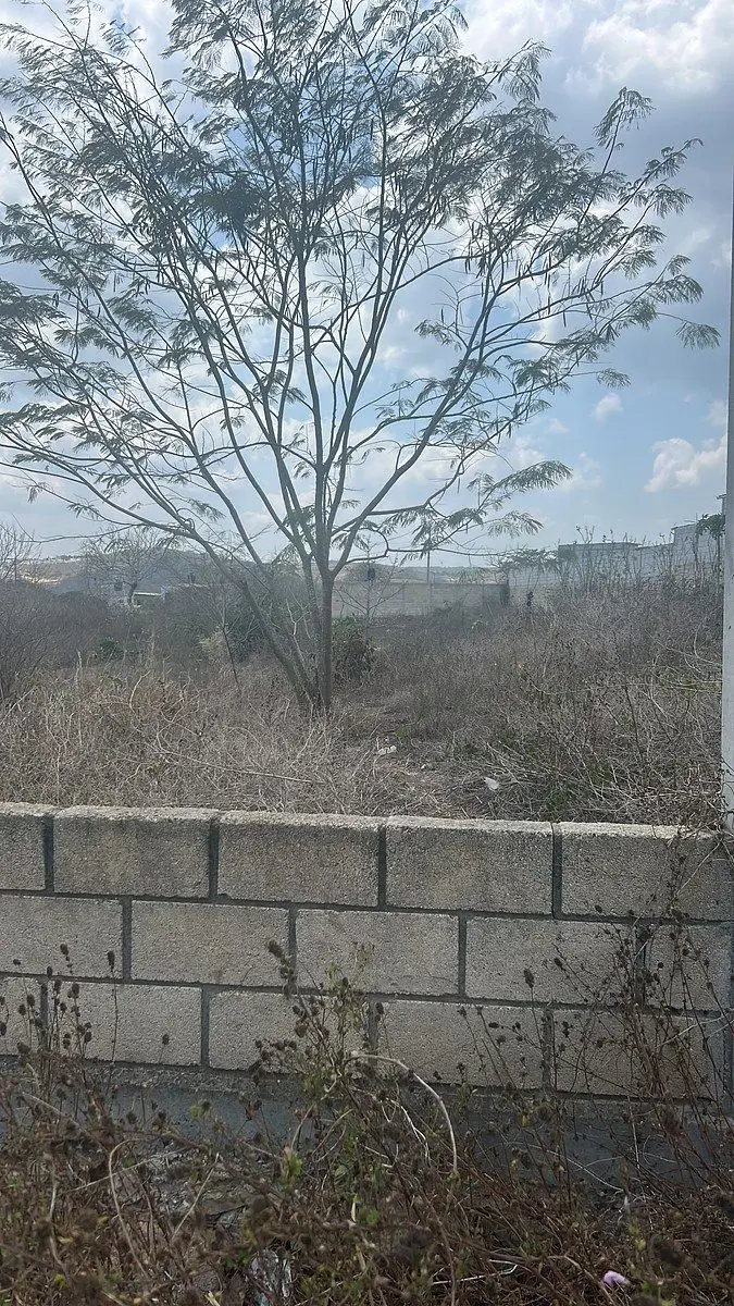 Terreno en venta en Efrain A Gutierrez, Berriozábal — foto 1 de 7