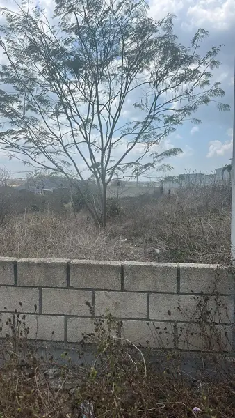 Terreno a la venta en Berriozábal, uso Mixto con todos los servicios!! Terreno a la venta en Berriozábal, uso Mixto con todos los servicios!!