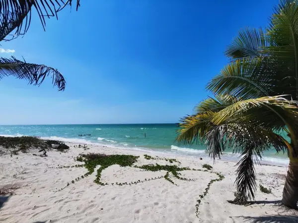 Terreno en venta en la playa de San Benito Yucatán