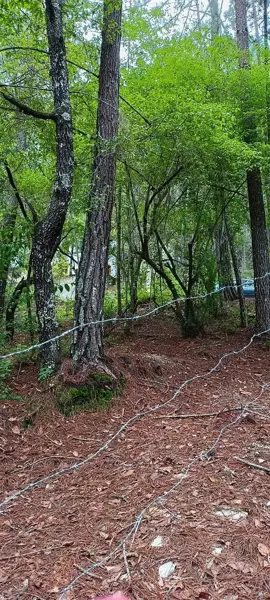 Terreno en venta en Corral de Piedra, San Cristóbal de las Casas — foto 3 de 19
