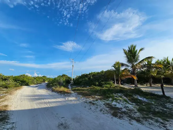 Terreno en venta en San Benito, Dzemul — foto 3 de 11