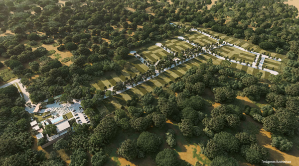 Terreno en venta en Tixcuytun, Mérida — foto 3 de 7