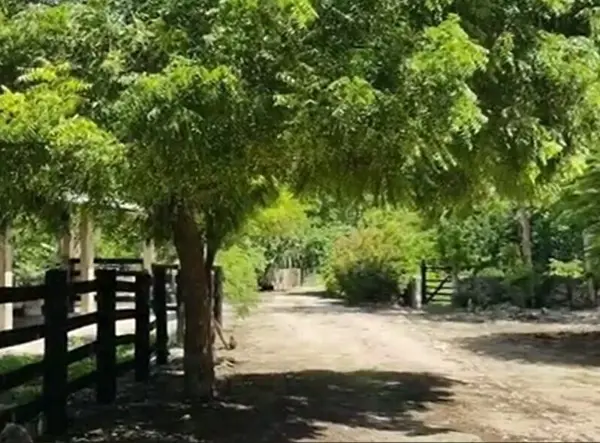 Venta de rancho en Panabá Yucatán