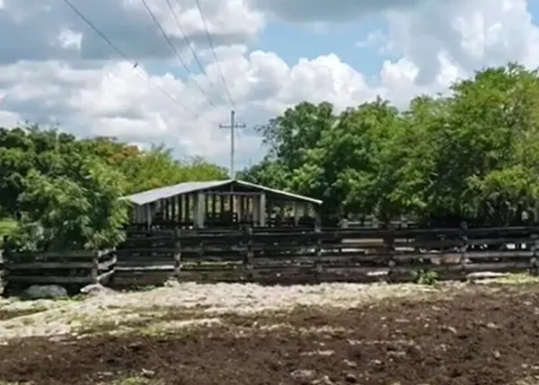 Finca-Rancho en venta en Panaba, Panabá — foto 3 de 17