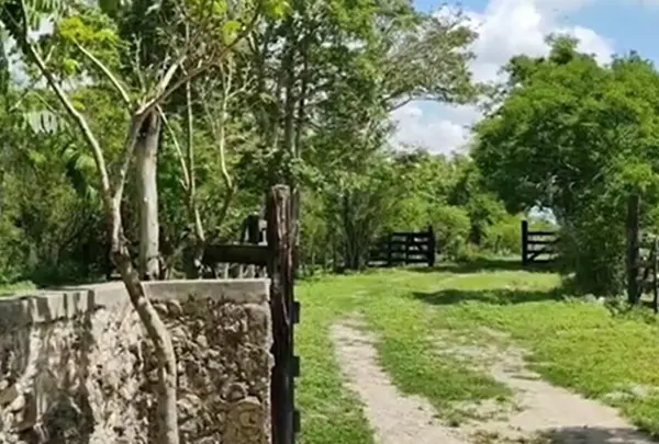 Finca-Rancho en venta en Panaba, Panabá — foto 2 de 21