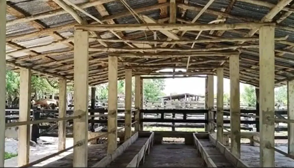 Finca-Rancho en venta en Panaba, Panabá — foto 1 de 21