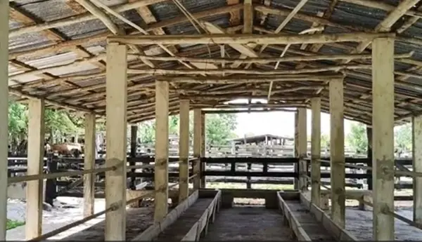 Venta de Rancho ganadero en Panabá Yucatán