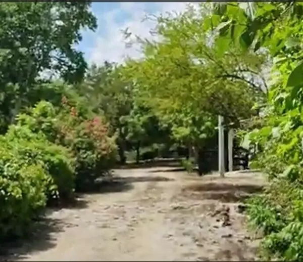 Finca-Rancho en venta en Panaba, Panabá — foto 3 de 21