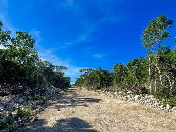 Terreno en venta en Hunucmá, Hunucmá — foto 3 de 16