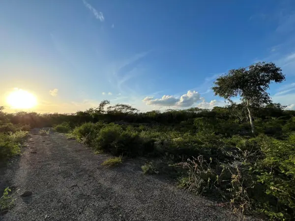 Terreno en venta en Chicxulub Puerto, Progreso — foto 3 de 16
