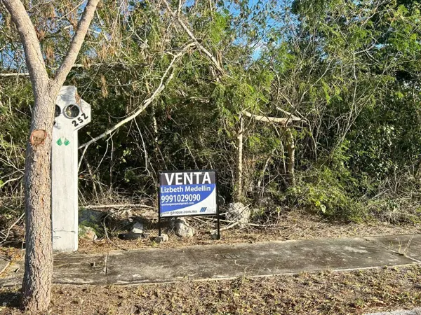 Terreno en venta en Dzidzilche, Mérida — foto 2 de 10