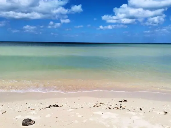 Terreno en venta, 4a.Fila, en San Benito, Yucatan