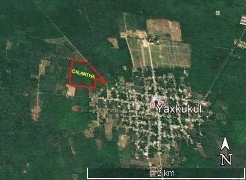 Terreno en venta en Yaxkukul, Yaxkukul — foto 2 de 5