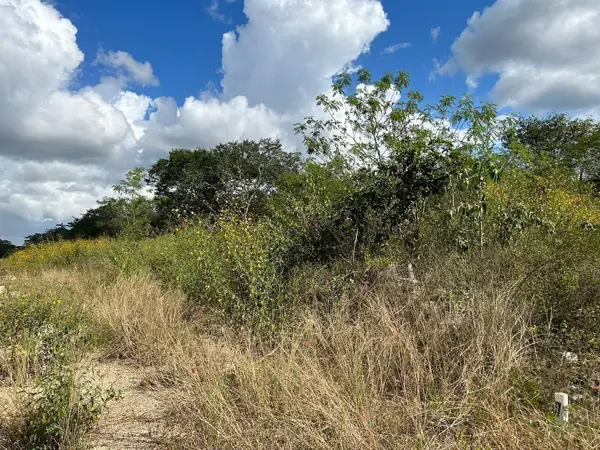 Terreno en venta en Yaxkukul, Yaxkukul — foto 3 de 5