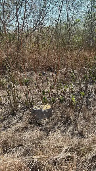 Terreno en venta en Conkal, Conkal — foto 3 de 5