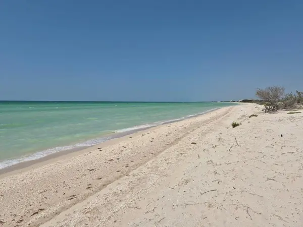 Terreno en venta en Sisal, Hunucmá — foto 3 de 13