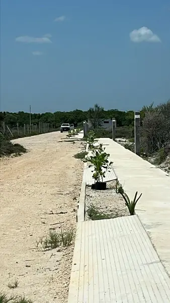 Venta de terreno a 294 metros del mar en Sisal Yucatán con casa club Venta de terreno a 294 metros del mar en Sisal Yucatán con casa club