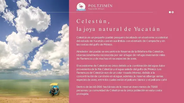 Terreno en venta en Celestun, Celestún — foto 2 de 9
