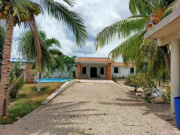 Rancho ganadero en venta Panabá / Pie de cría / entrega inmediata