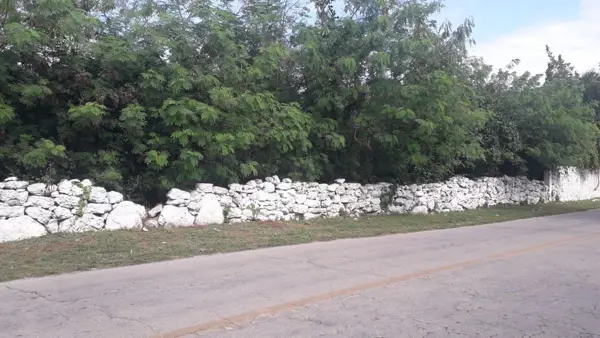 Terreno en venta en Hunucmá, Hunucmá — foto 3 de 7