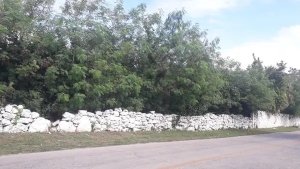 Terreno en venta en Hunucmá, Hunucmá — foto 2 de 7