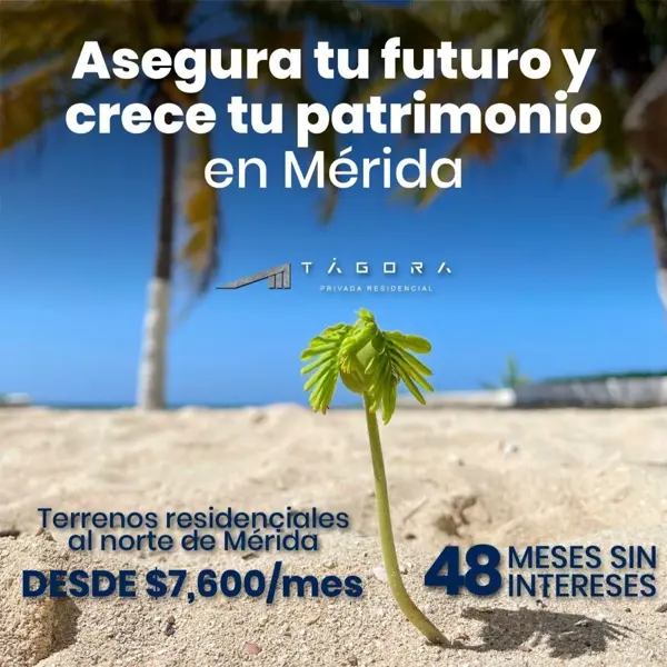 Terreno en venta en Conkal, Conkal — foto 3 de 26