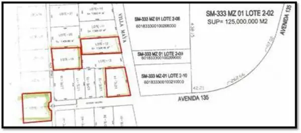 SE VENDEN TERRENOS 1 HECTAREA AVENIDA 135 CANCUN