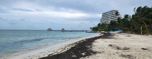 TERRENO EN VENTA CANCUN HASTA 11 NIVELES FRENTE AL MAR