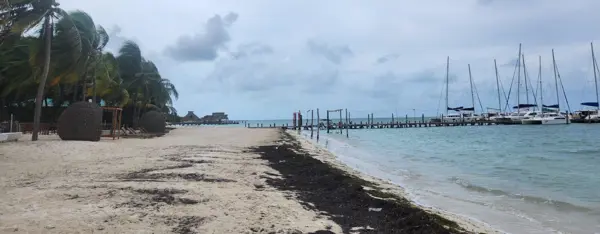 TERRENO EN VENTA CANCUN HASTA 11 NIVELES FRENTE AL MAR