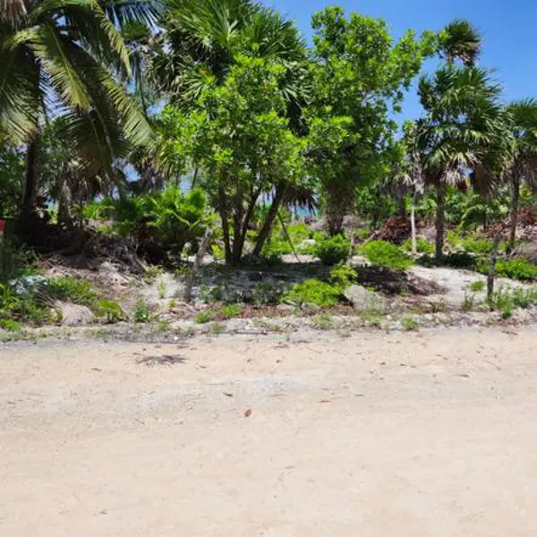 Terreno en venta en La Casona, Bacalar — foto 2 de 8