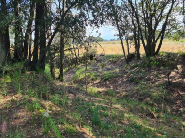 Terreno en venta en Acuamanala, Acuamanala de Miguel Hidalgo — foto 3 de 27