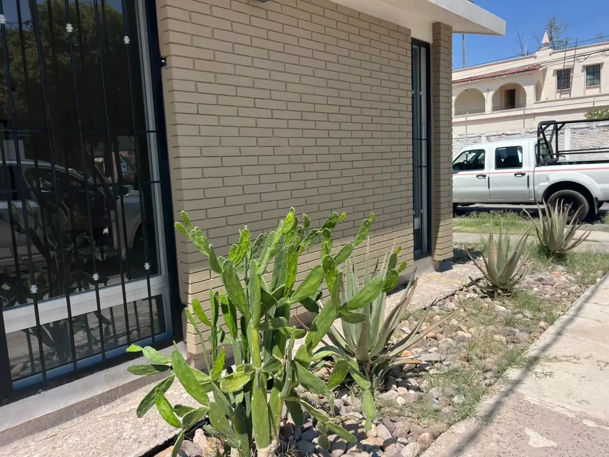 Vista 2 de Oficina en Renta en Torreon Centro, Torreón, Coahuila de Zaragoza