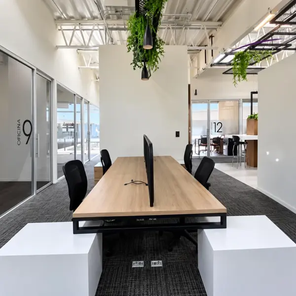 OFICINAS COWORKING EN RENTA  AL NORTE DE SALTILLO, COAH.