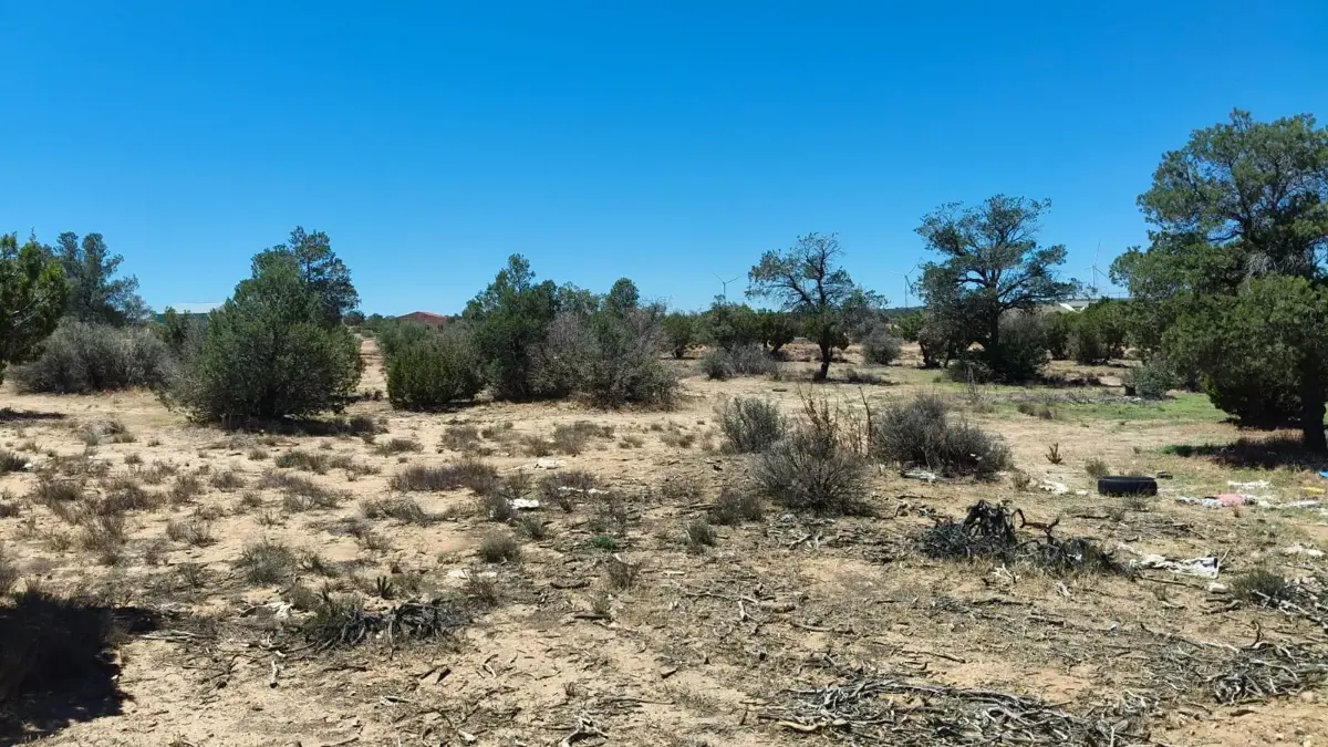 Terreno en venta en La Rumorosa, Tecate — foto 1 de 5