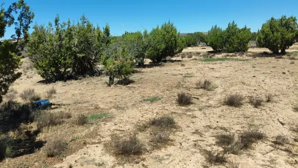 Terreno en venta en La Rumorosa, Tecate — foto 3 de 5