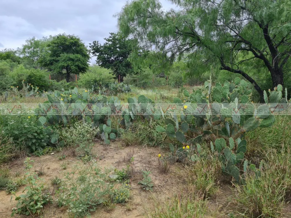 Terreno en venta en Carmen Centro, El Carmen — foto 1 de 16