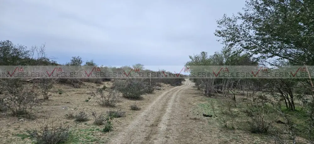 Terreno en venta en Estación Huertas, Montemorelos — foto 1 de 21