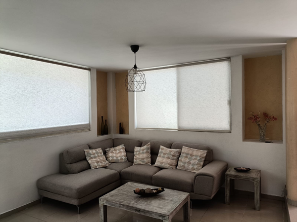 Casa en renta en San Antonio de Ayala, Irapuato — foto 2 de 30