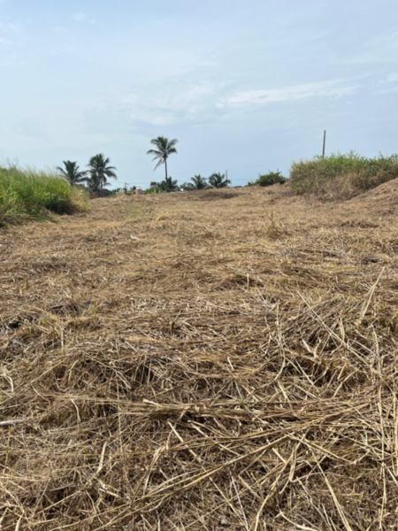 Terreno en venta en Anton Lizardo, Alvarado — foto 3 de 13