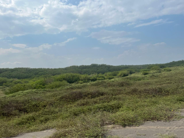 Terreno en venta en Playa de Chachalacas, Úrsulo Galván — foto 3 de 11