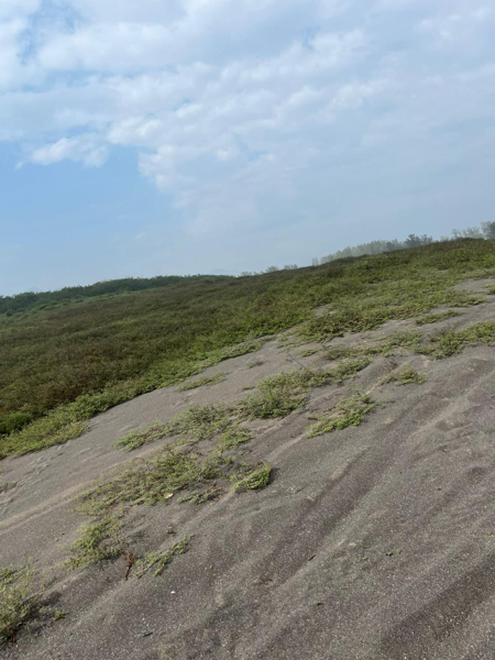 Terreno en venta en Playa de Chachalacas, Úrsulo Galván — foto 2 de 11