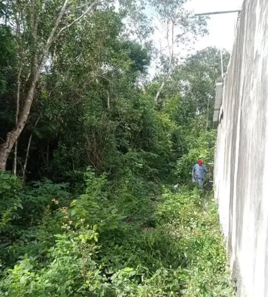 Terreno en venta en Las Fincas, Cozumel — foto 2 de 4