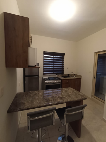 Departamento en renta en Portales, Ramos Arizpe — foto 3 de 7